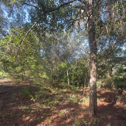 19037 PARAKEET ROAD, Brooksville, FL 34614