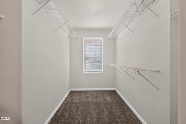 3613 Blue Blossom Drive, Raleigh, NC 27616