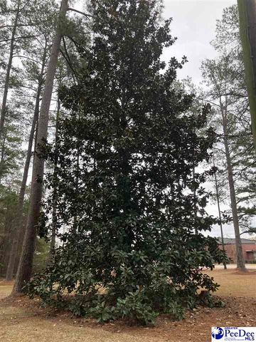 503 E NORTHSIDE AVE, Marion, SC 29571