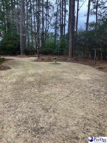 503 E NORTHSIDE AVE, Marion, SC 29571