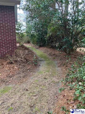 503 E NORTHSIDE AVE, Marion, SC 29571