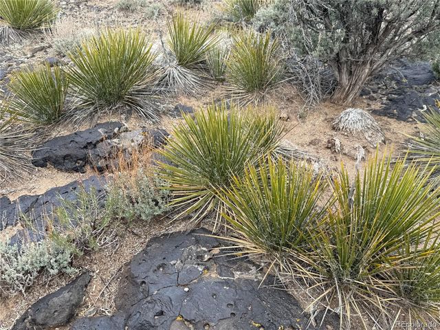 Lot 12 5th Street, Fort Garland, CO 81133