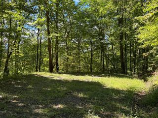 #8-2 Tree Top Drive, Hayesville, NC 28904