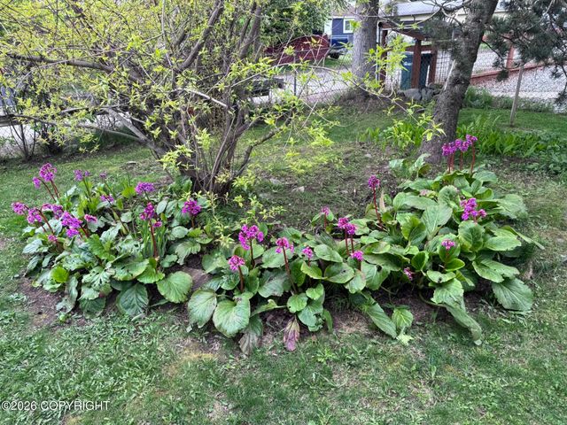 3208 Oregon Drive, Anchorage, AK 99517