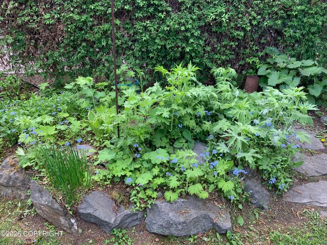 3208 Oregon Drive, Anchorage, AK 99517