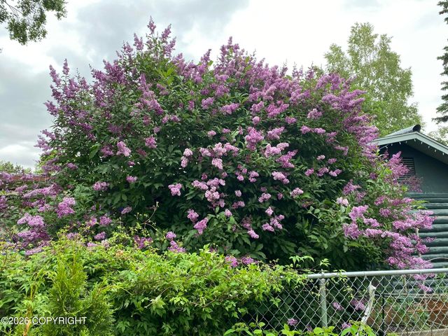 3208 Oregon Drive, Anchorage, AK 99517