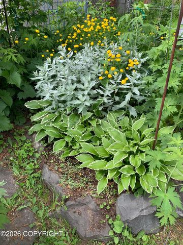 3208 Oregon Drive, Anchorage, AK 99517