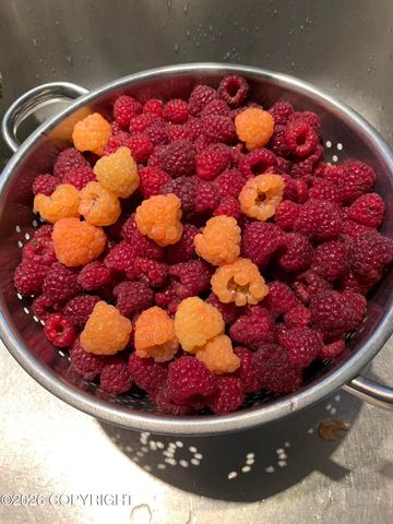 3208 Oregon Drive, Anchorage, AK 99517