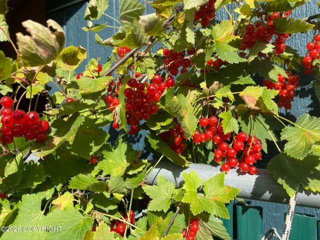 3208 Oregon Drive, Anchorage, AK 99517