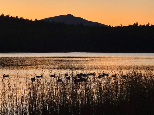 27 Island Drive, Madison, NH 03849