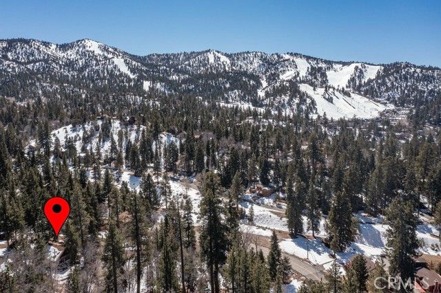 43411 Sheephorn Road, Big Bear Lake, CA 92315