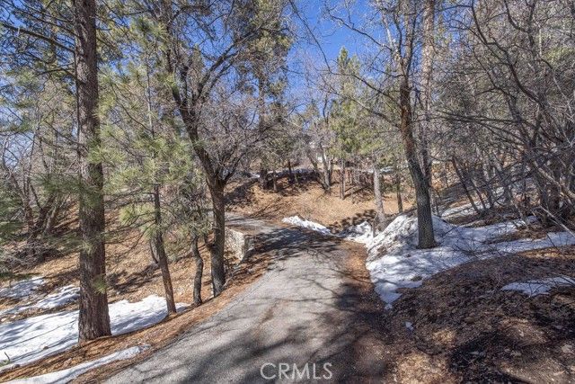 43411 Sheephorn Road, Big Bear Lake, CA 92315