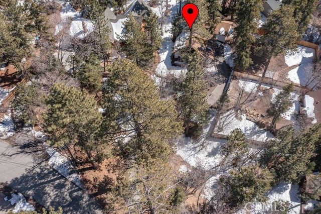 43411 Sheephorn Road, Big Bear Lake, CA 92315