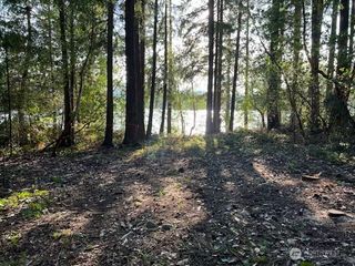 18129 Sundown Court SE, Yelm, WA 98597