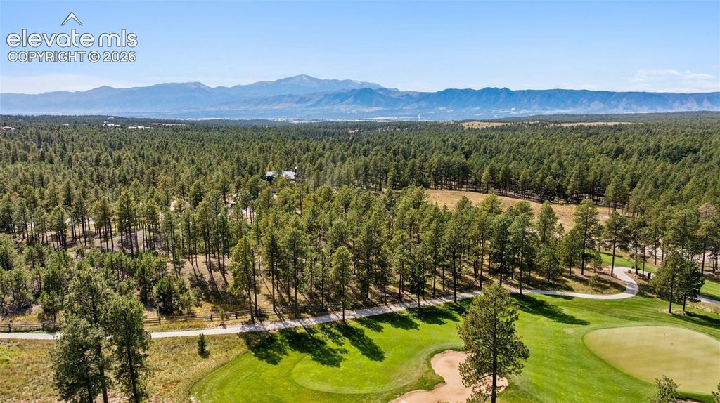 14981 Quartz Creek Drive, Colorado Springs, CO 80908 — photo 2