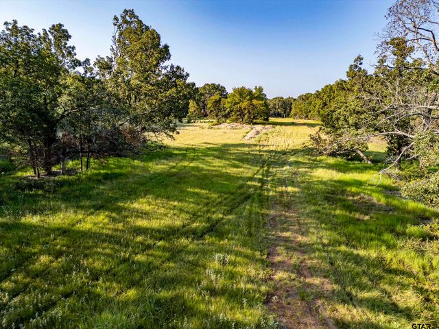 21574 Riva Ridge Drive, Tyler, TX 75704