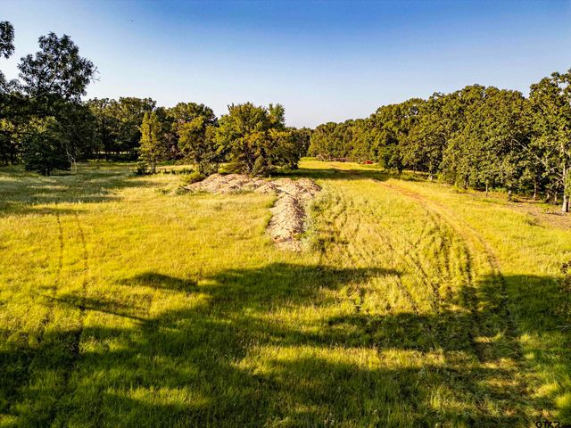 21574 Riva Ridge Drive, Tyler, TX 75704