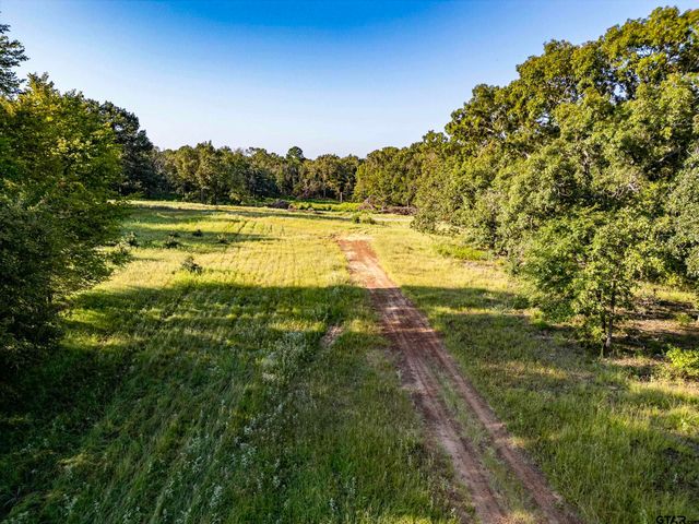 21574 Riva Ridge Drive, Tyler, TX 75704