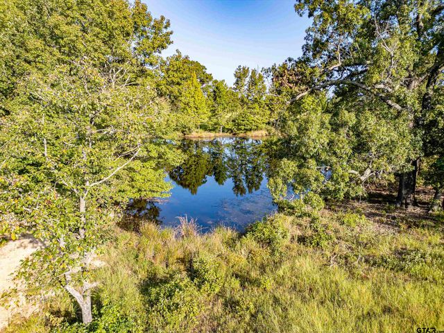 21574 Riva Ridge Drive, Tyler, TX 75704
