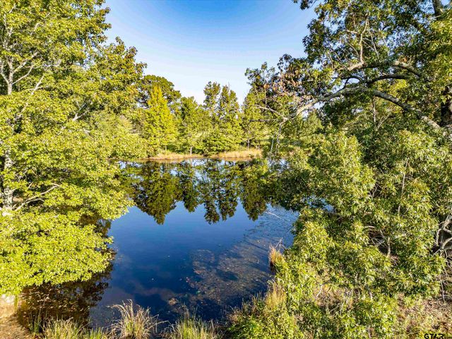 21574 Riva Ridge Drive, Tyler, TX 75704