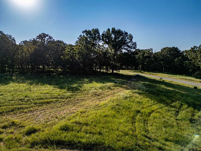 21574 Riva Ridge Drive, Tyler, TX 75704