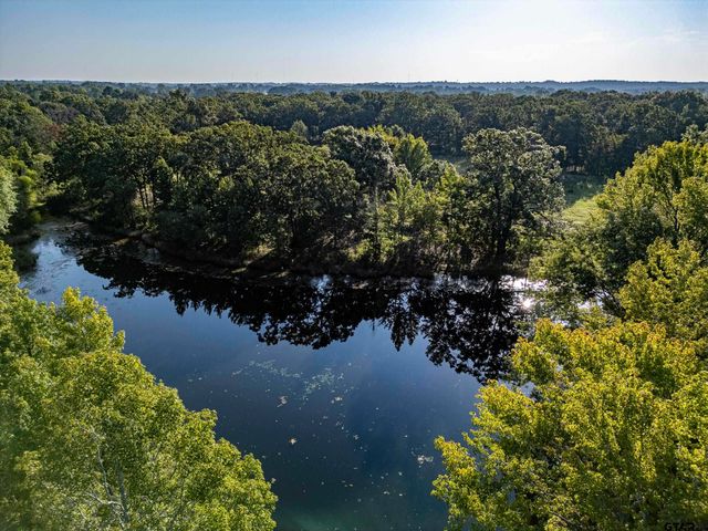 21574 Riva Ridge Drive, Tyler, TX 75704