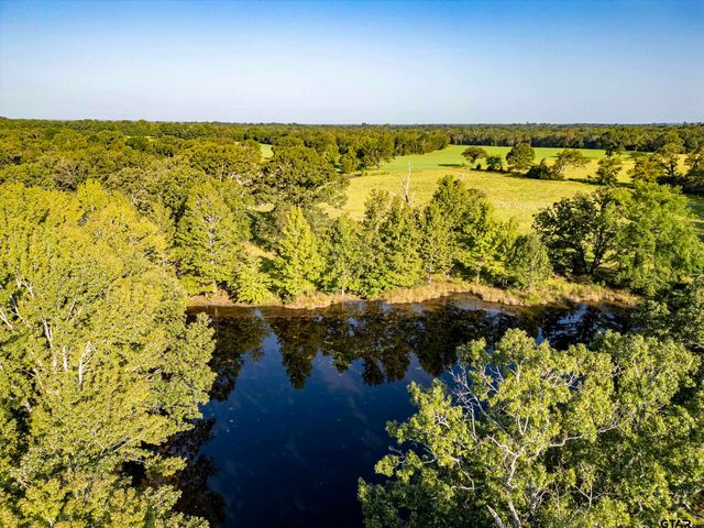 21574 Riva Ridge Drive, Tyler, TX 75704