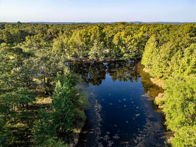21574 Riva Ridge Drive, Tyler, TX 75704