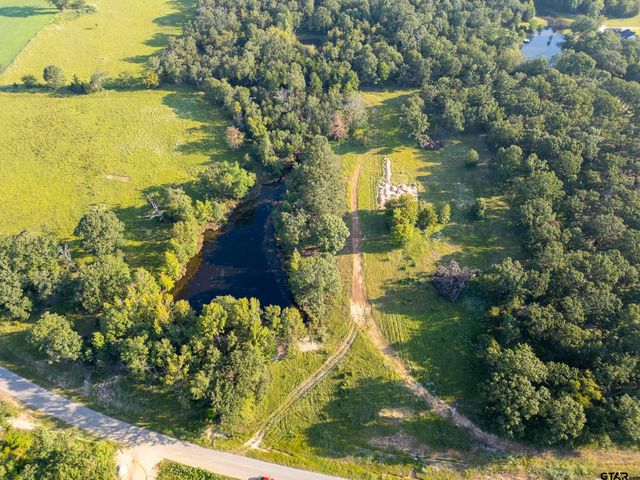 21574 Riva Ridge Drive, Tyler, TX 75704