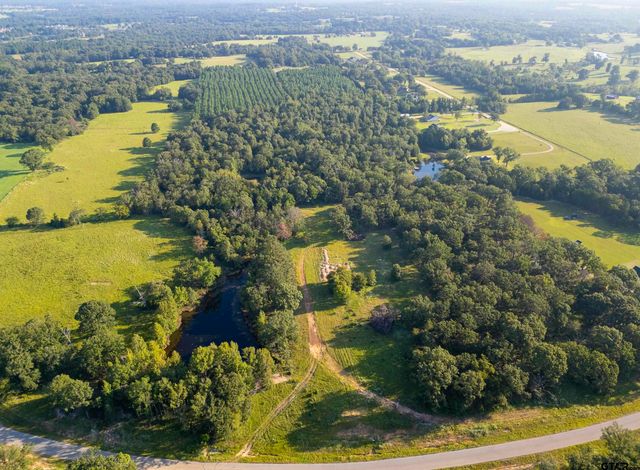 21574 Riva Ridge Drive, Tyler, TX 75704