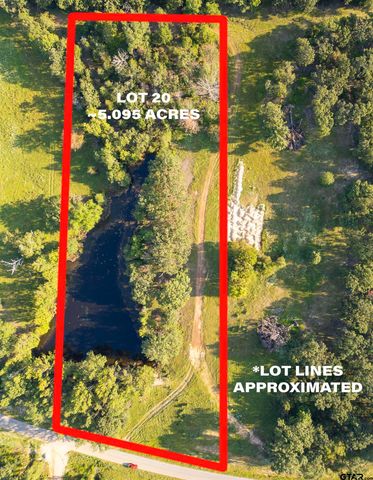 21574 Riva Ridge Drive, Tyler, TX 75704