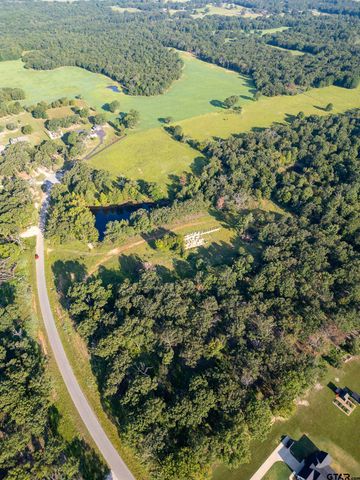 21574 Riva Ridge Drive, Tyler, TX 75704