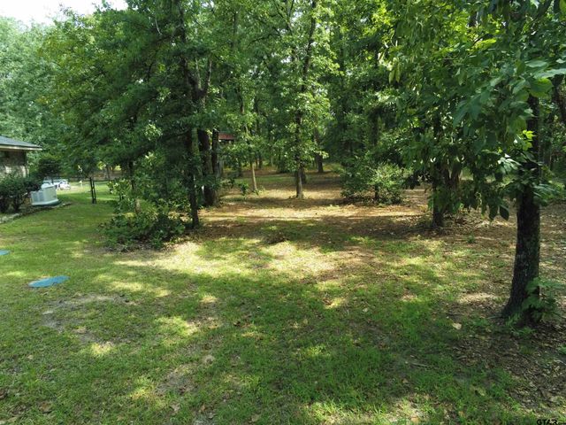 1325 Private Road 7905, Hawkins, TX 75765