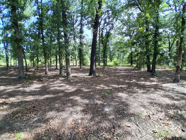 1325 Private Road 7905, Hawkins, TX 75765