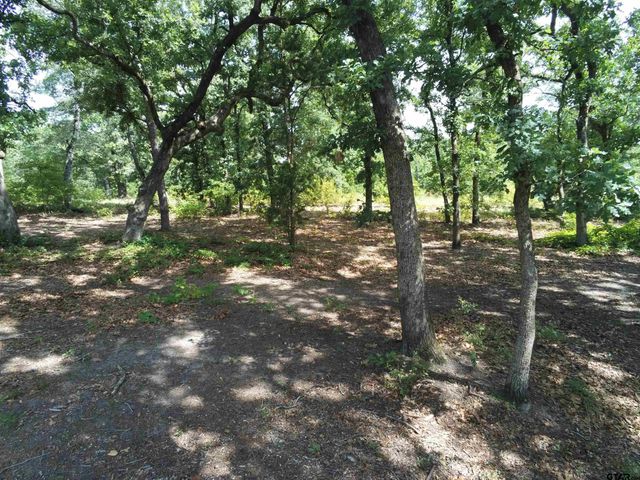 1325 Private Road 7905, Hawkins, TX 75765