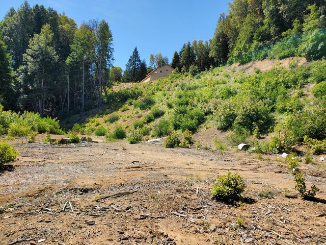 4240 Rancho Sequoia Drive, Alderpoint, CA 95511