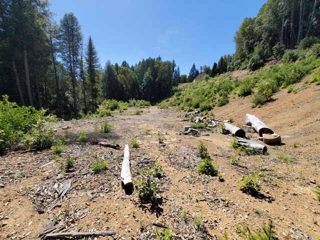 4240 Rancho Sequoia Drive, Alderpoint, CA 95511