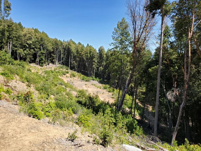 4240 Rancho Sequoia Drive, Alderpoint, CA 95511