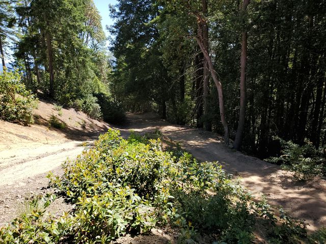 4240 Rancho Sequoia Drive, Alderpoint, CA 95511