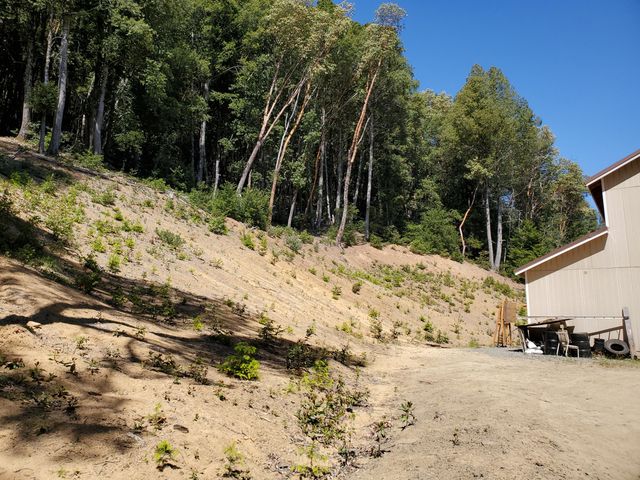 4240 Rancho Sequoia Drive, Alderpoint, CA 95511