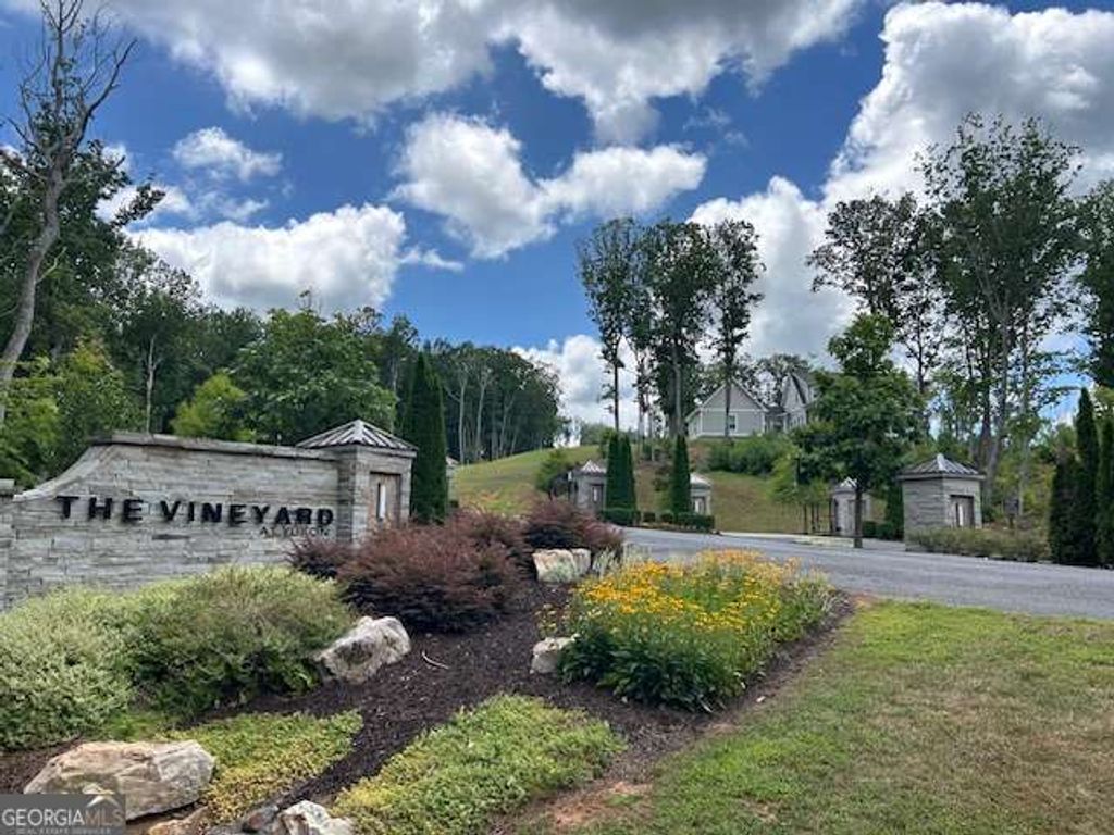LT 95 Timberline Trail 95, Ellijay, GA 30540