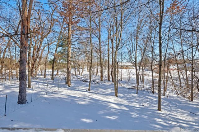 9619 Tree Top Court, Hamburg Township, MI 48169