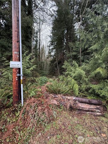 12313 150th Street NE, Arlington, WA 98223