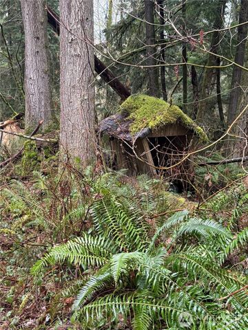 12313 150th Street NE, Arlington, WA 98223