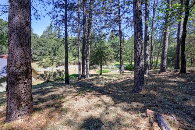 17000 Loganberry Ct, Meadow Vista, CA 95722