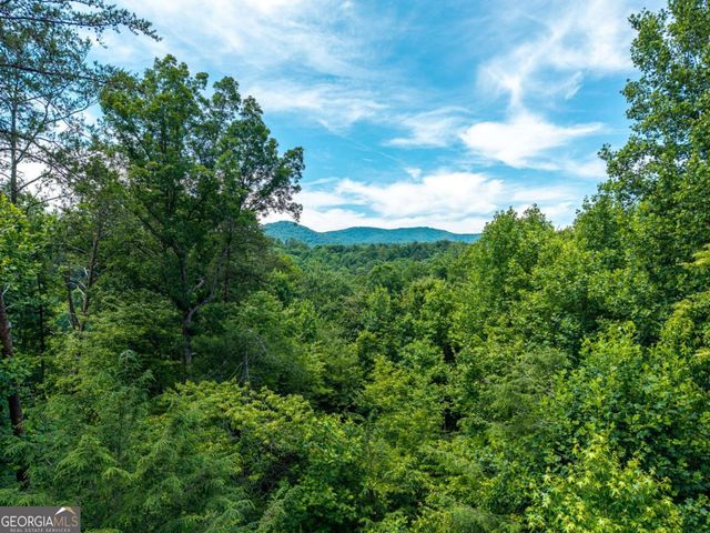 1172 Settlers Ridge Road, Ellijay, GA 30540