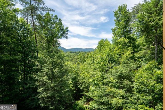1172 Settlers Ridge Road, Ellijay, GA 30540