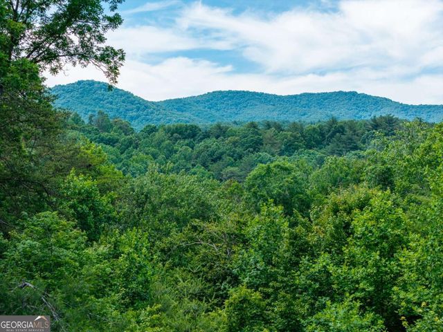 1172 Settlers Ridge Road, Ellijay, GA 30540