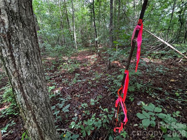 8485 Huffman Avenue, Connelly Springs, NC 28612