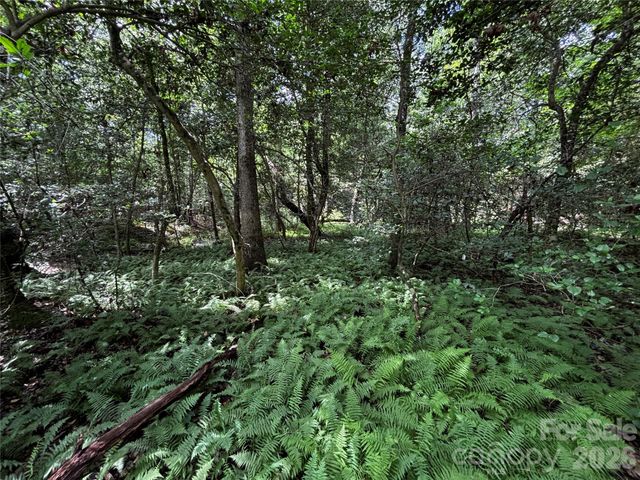 8485 Huffman Avenue, Connelly Springs, NC 28612